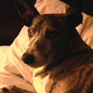 Meet your Posher, Patti